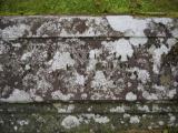 image of grave number 949515
